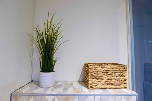 a plant on a glass table with a basket at Tiny House in Pau