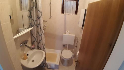 a small bathroom with a sink and a toilet at Apartmani Ždrelac in Ždrelac