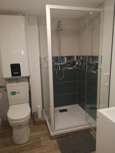une salle de bain avec douche et toilettes dans l'établissement Charmante Maison studio proche mer et commerces, à Ouistreham
