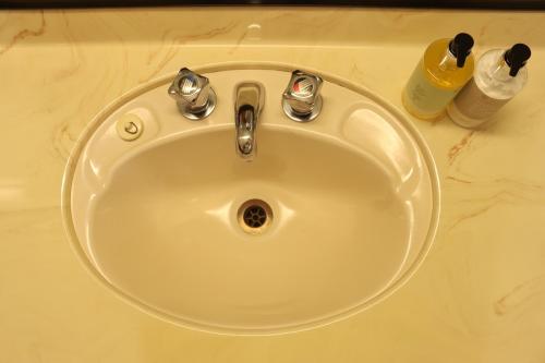 a white sink with two bottles on a counter at Beetham Park Motel in Hamilton