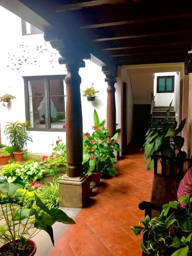 a patio with a bunch of plants and pillars at Hotel la Galería in Antigua Guatemala