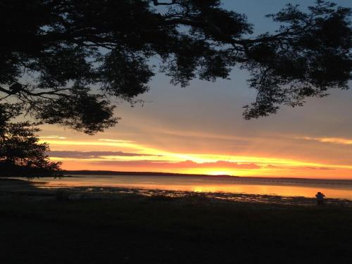 a sunset over a body of water with a tree at The Point, 5, 5-7 Mitchell Street large balcony with great water views in Soldiers Point