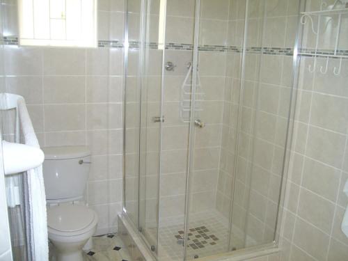 łazienka z prysznicem i toaletą w obiekcie Nutmeg Guest House w mieście Howick