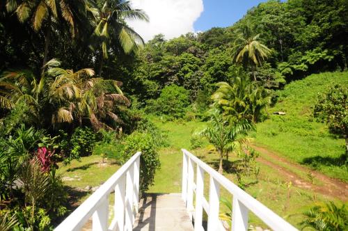 Un paisaje natural cerca del lodge