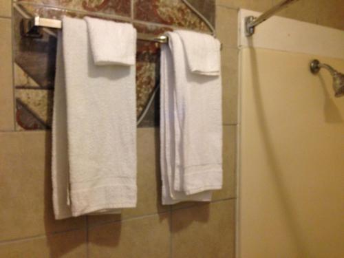 a bathroom with white towels hanging from a shower at Executive Inn Robstown in Robstown