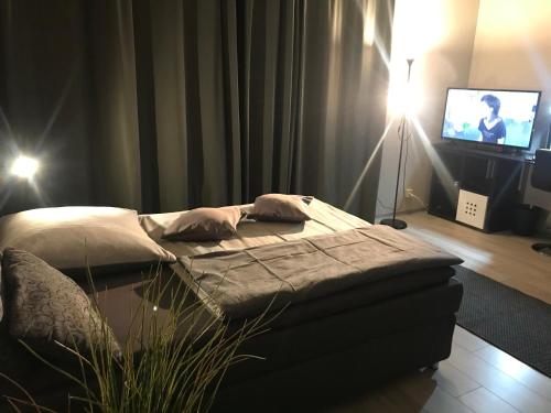 TV a/nebo společenská místnost v ubytování Schönes Apartment mit Balkon