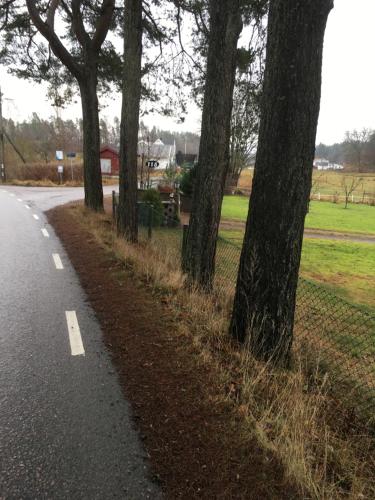 a group of trees on the side of a road at AirbnbEkåsberg in Olofstorp