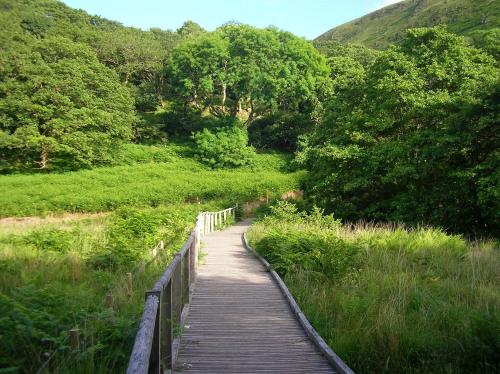 a wooden bridge over a field with trees and grass at The Dolgoch in Bryn-crug