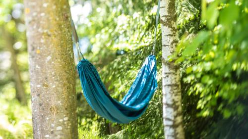 a blue hammock hanging from a tree in the woods at Residence Lärchenhäusl in Soprabolzano