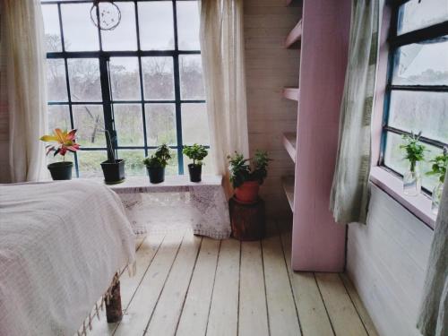 a bedroom with potted plants on a window sill at Casa Iris in La Pedrera