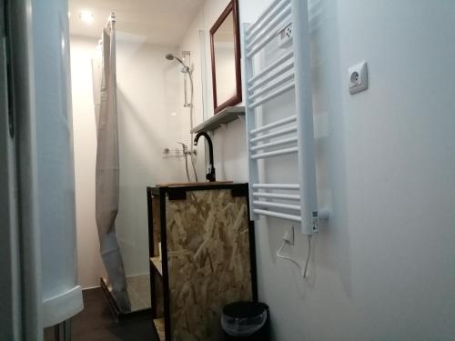 a bathroom with a shower and a mirror on the wall at Deux studios centre village Loft ou cosy Studio-Cosy in Brouckerque