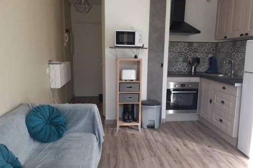 un salon avec un canapé et une cuisine dans l'établissement T2 Rez de chaussée climatisé jardin parking privé, à Balaruc-les-Bains