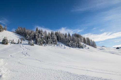 a snow covered slope with trees in the background at Niciora in Badia