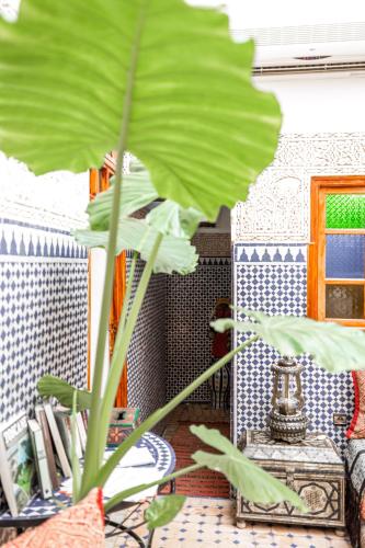 Zahrada ubytování Riad Dar Tahri & SPA