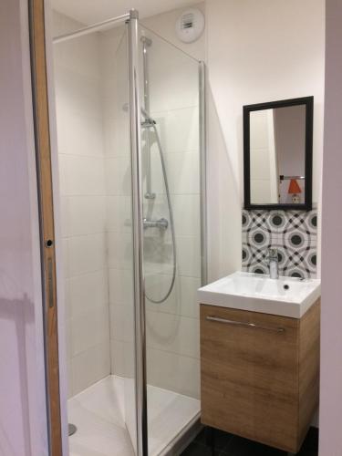 a bathroom with a shower and a sink at Chambre indépendante au Manoir de la Célinais côté cour in Saint-Aubin-du-Cormier