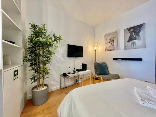 a bedroom with a bed and a tv and a plant at Apartments Historic Center • Collection by Perpetual Relax in Braga