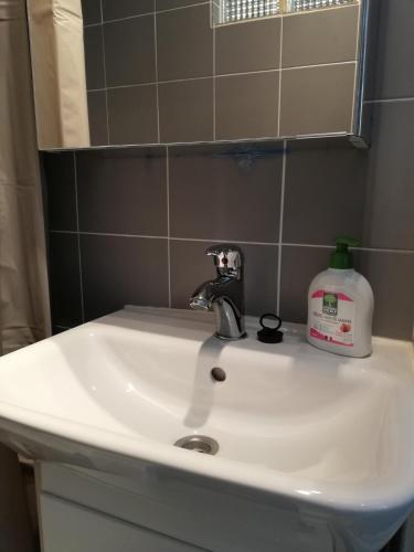 - un lavabo dans la salle de bains avec une bouteille de savon dans l'établissement L1 - Green and cosy flat close Paris - WIFI, à Longjumeau