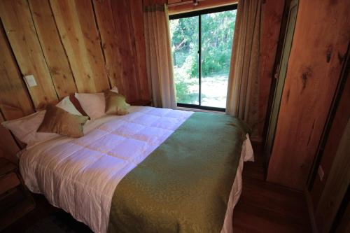 a bed in a wooden room with a window at Cabañas Los Alamos Neltume in Neltume