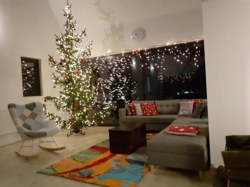 a living room with a christmas tree and a couch at Chata Otulina in Wünschelburg