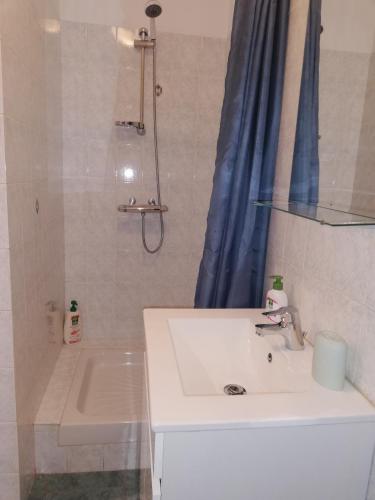 une salle de bain avec un lavabo et une douche dans l'établissement L4 - Green and cosy flat close Paris - WIFI & NETFLIX, à Longjumeau
