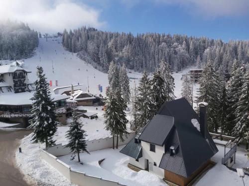 OLIMPIJSKA KUCA-Planinska Avantura semasa musim sejuk