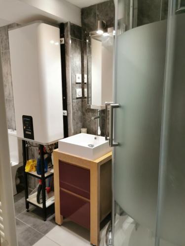 une salle de bain avec un lavabo et une douche dans l'établissement La petite cour, à Honfleur