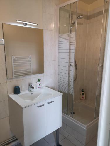 a bathroom with a white sink and a shower at L6 - Green and premium flat close Paris - WIFI & NETFLIX in Longjumeau