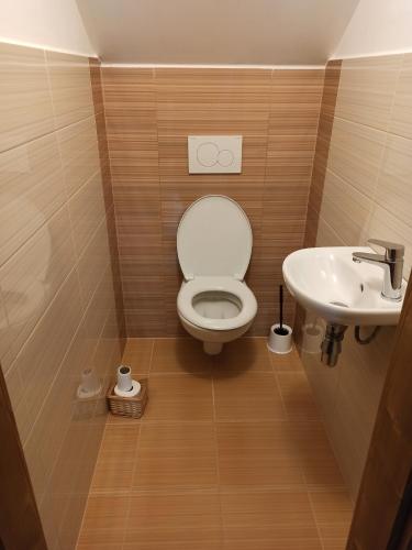 a bathroom with a toilet and a sink at Chalupajinak in Benešov