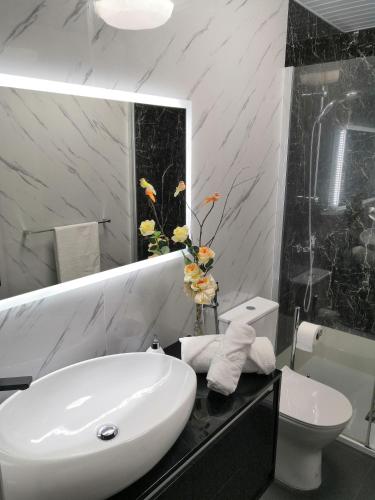 a bathroom with a sink and a toilet and a mirror at Casa Golfinho in Viana do Castelo