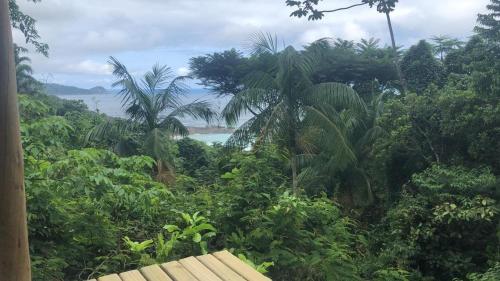 - une vue sur l'océan depuis une jungle avec un banc dans l'établissement Casa Mar e Montanha 2, deck com vista para o mar, à Trindade