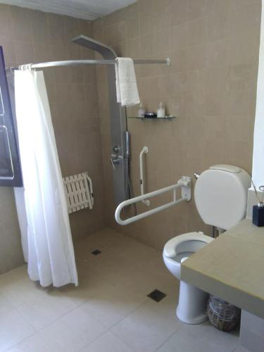 a bathroom with a shower with a toilet and a sink at Estancia Las Tacanas in Tafí del Valle