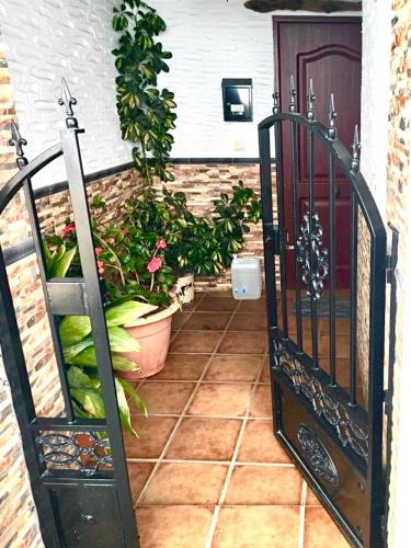 an open door to a patio with plants at Casa en Busquistar in Busquístar