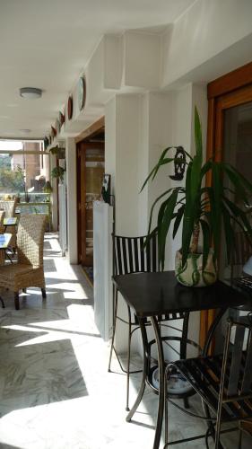 une table et des chaises avec une plante au-dessus dans l'établissement Hôtel Restaurant Brasilia, à Cagnes-sur-Mer