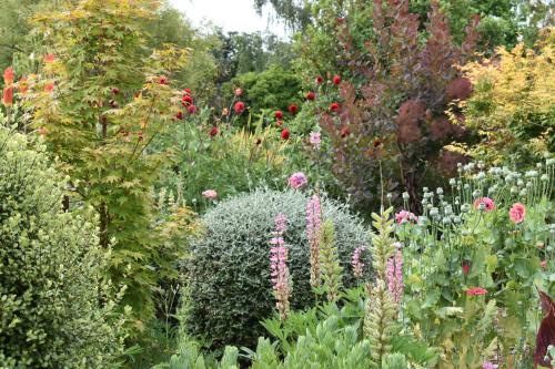 Ein Garten an der Unterkunft Olivista