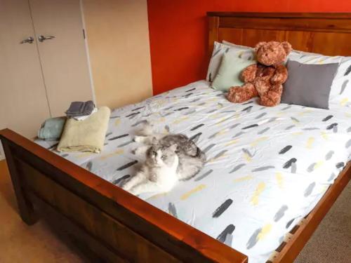 a cat laying on a bed with a teddy bear at Quiet homestay, private room with own bathroom in Paraparaumu Beach