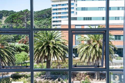 a window view of a palm tree outside a building at Sojourn Apartment Hotel - Riddiford in Wellington