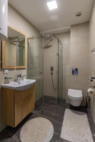een badkamer met een douche, een wastafel en een toilet. bij Binis in Zlatibor