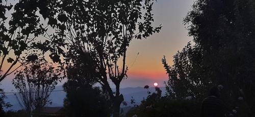 a sunset in the distance with a tree in the foreground at Maa Anand Mayee Guest House in Panuānaula