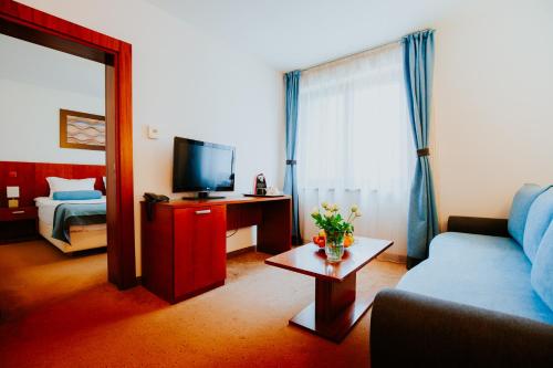 uma sala de estar com um sofá e uma televisão em Hotel O3zone em Băile Tuşnad
