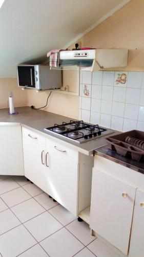 Η κουζίνα ή μικρή κουζίνα στο Appartement ensoleillé à Goyave, 50 m², vue mer et balcon