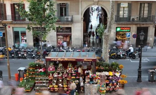 Rambla 102 photo 31