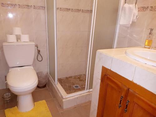 a bathroom with a toilet and a shower and a sink at One bedroom apartement with furnished garden and wifi at La Savane 2 km away from the beach in Happy Bay