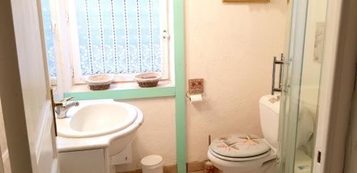 une salle de bain avec un lavabo et des toilettes et une fenêtre dans l'établissement Maison charmante à Bussac-Forêt avec piscine partagée, à Bussac-Forêt