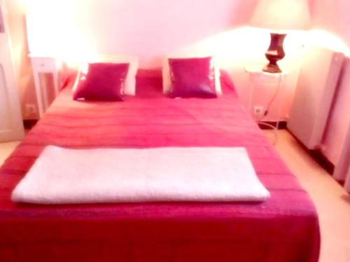 a bedroom with two beds with red sheets and a lamp at Appartement de 2 chambres avec jardin clos et wifi a Bocognano in Bocognano