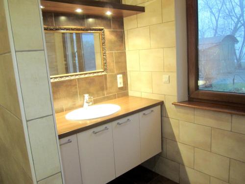a bathroom with a sink and a mirror and a window at Maison de 6 chambres avec jardin clos et wifi a Sermersheim in Sermersheim