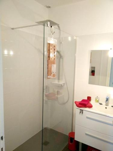 une salle de bain avec douche et lavabo dans l'établissement Maison pittoresque à Argelès-sur-Mer avec jardin clôturé, à Argelès-sur-Mer