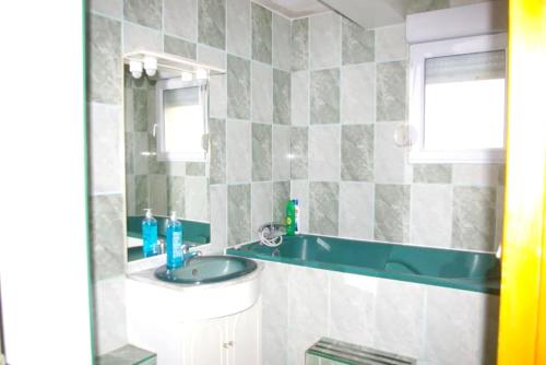 een badkamer met een wastafel en een spiegel bij Maison de 4 chambres avec jardin clos et wifi a Chenove in Chenôve