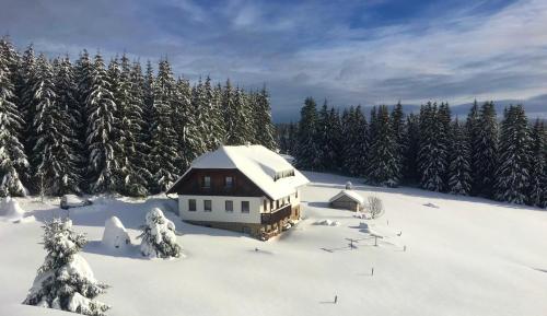 Pension Helena Honesová