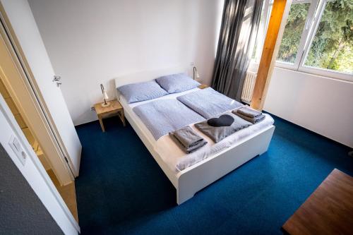 a bedroom with a bed and a window at Black Forest Bike Hostel in Kirchzarten
