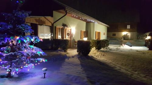 a christmas tree in front of a house at night at ferienhausfindling St.Lambrecht in Sankt Lambrecht
